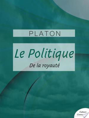 affiche Le Politique