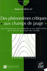 Des phénomènes critiques aux champs de jauge - Une introduction aux méthodes et aux applications de la théorie quantique des champs