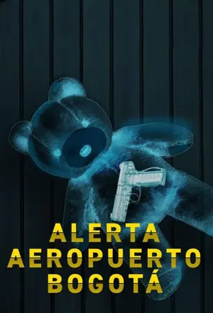 affiche Airport Security