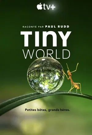 affiche Tiny World